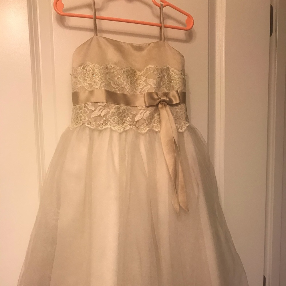 David’s Bridal-Flower Girl Dress